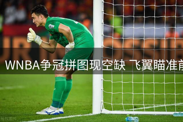 WNBA争冠拼图现空缺 飞翼瞄准前康大冠军中锋补强短板