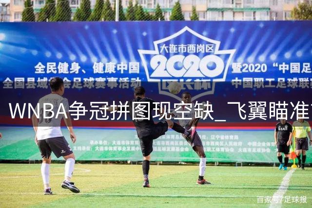 WNBA争冠拼图现空缺 飞翼瞄准前康大冠军中锋补强短板